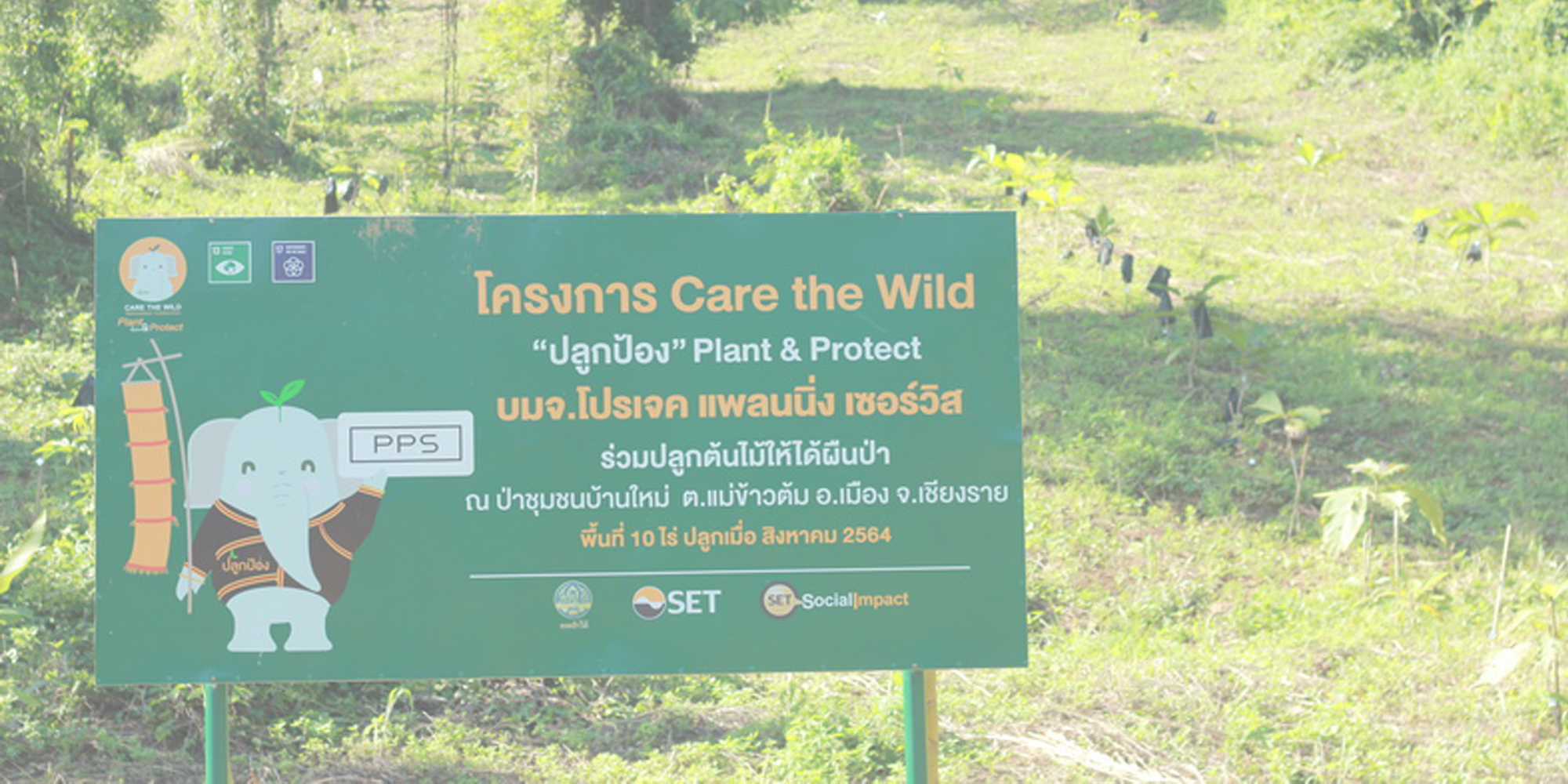 PPS ร่วมกับตลาดหลักทรัพย์ในโครงการ Care the Wild “ปลูกป้อง Plant & Protect”